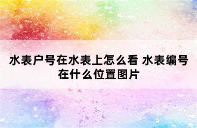 水表户号在水表上怎么看 水表编号在什么位置图片